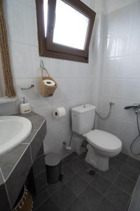 Sea Breeze Paradise Case de vacanță Paliouri